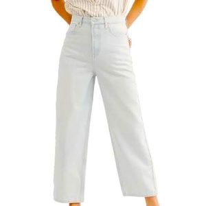 Free People We the Free Dad Jean Frank Icy Blue 28